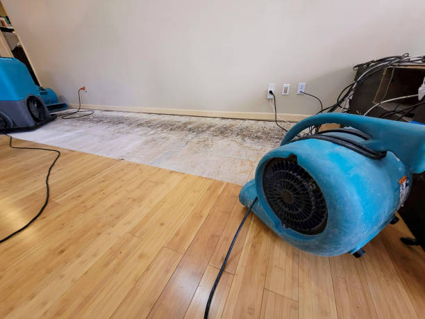 Professional Structural Drying technician working in Reading, MI